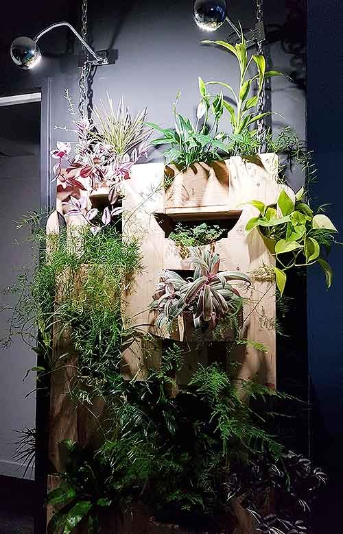 Beleuchtete Pflanzenwand im Innenraum